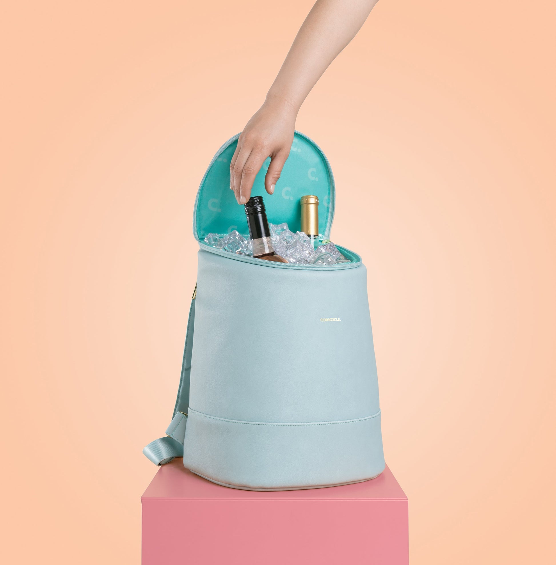 eola-bucket-cooler-bag-c8 a405954e83cf--EOLA-Bucket-copy.jpg